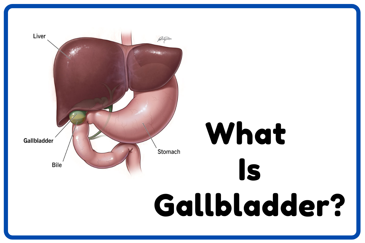 what is gallbladder